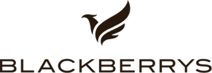 blackberrys Cashback offer - 17% Cashback - Coupon, Discount, Deals, offers for Independence day, Diwali, Holi,  navratri, new year - Buy 1 Get 1 offer, 50% off